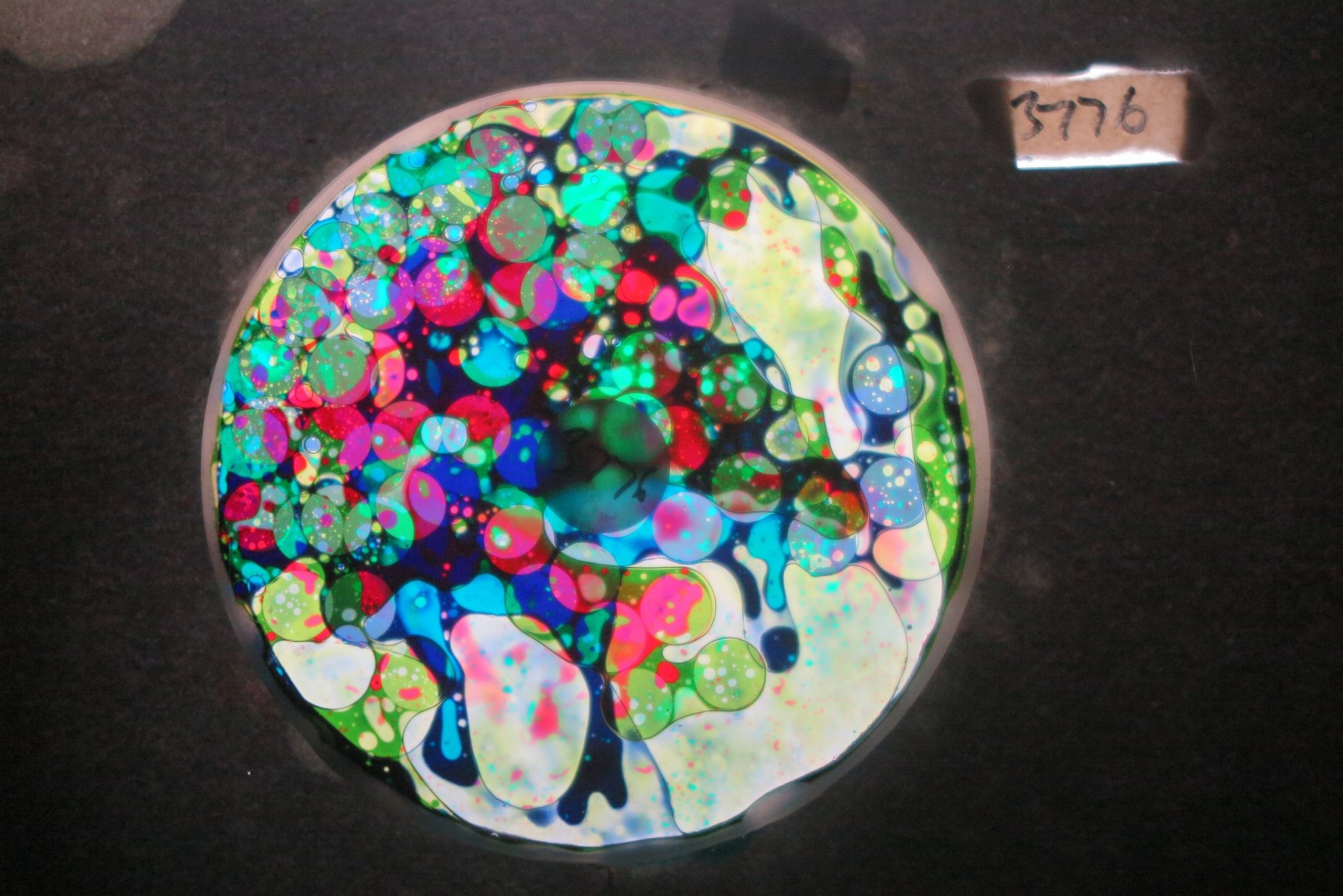 BV3776 bubble vision oil wheel